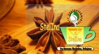 STELINA, KAFE POSLASTIČARNICA